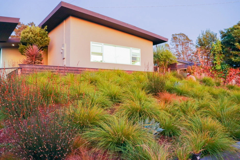 Minimalist Meadow by Wildwood Landscapes + Design - Photo 4
