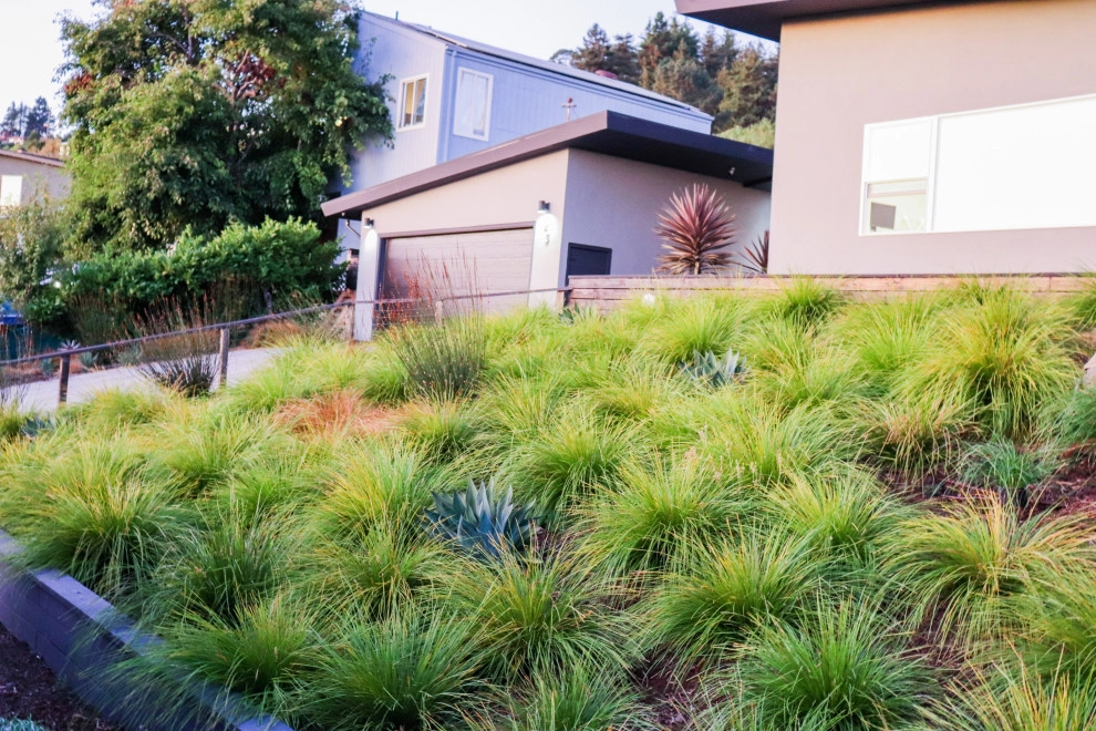 Minimalist Meadow by Wildwood Landscapes + Design - Photo 2