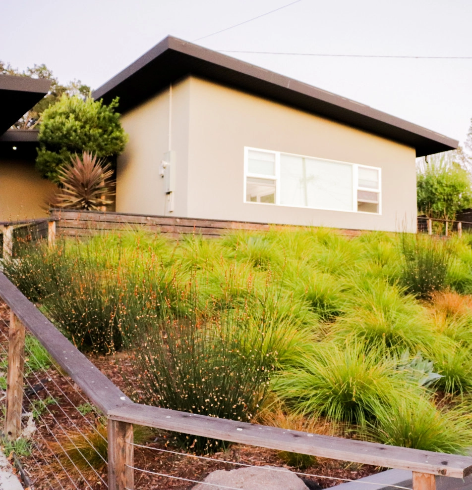Minimalist Meadow by Wildwood Landscapes + Design - Photo 6