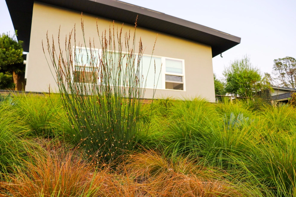 Minimalist Meadow by Wildwood Landscapes + Design - Photo 10