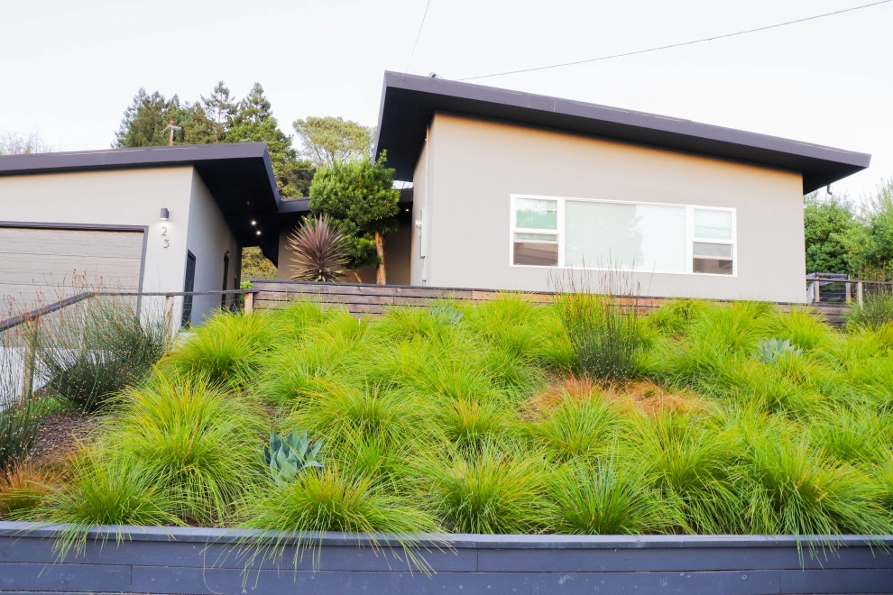 Minimalist Meadow by Wildwood Landscapes + Design - Photo 11