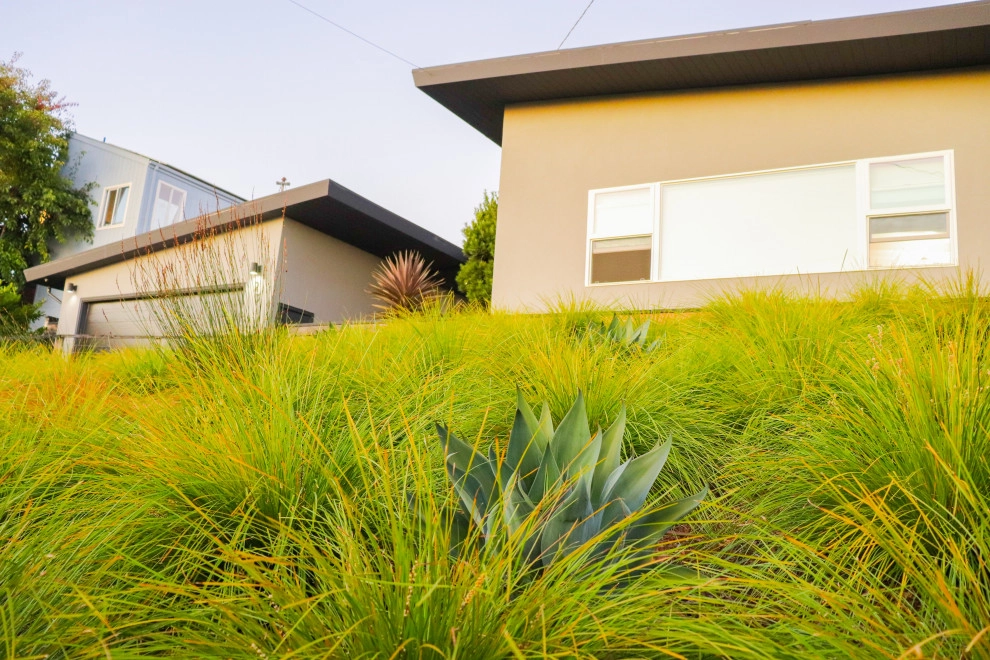 Minimalist Meadow by Wildwood Landscapes + Design - Photo 7