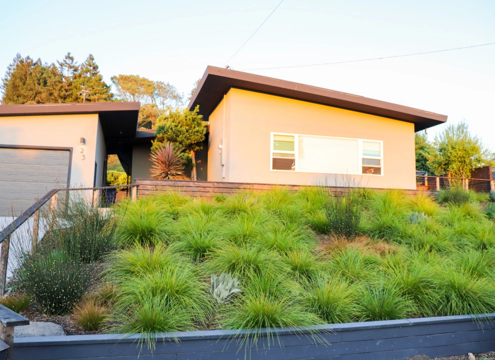 Minimalist Meadow by Wildwood Landscapes + Design - Photo 12
