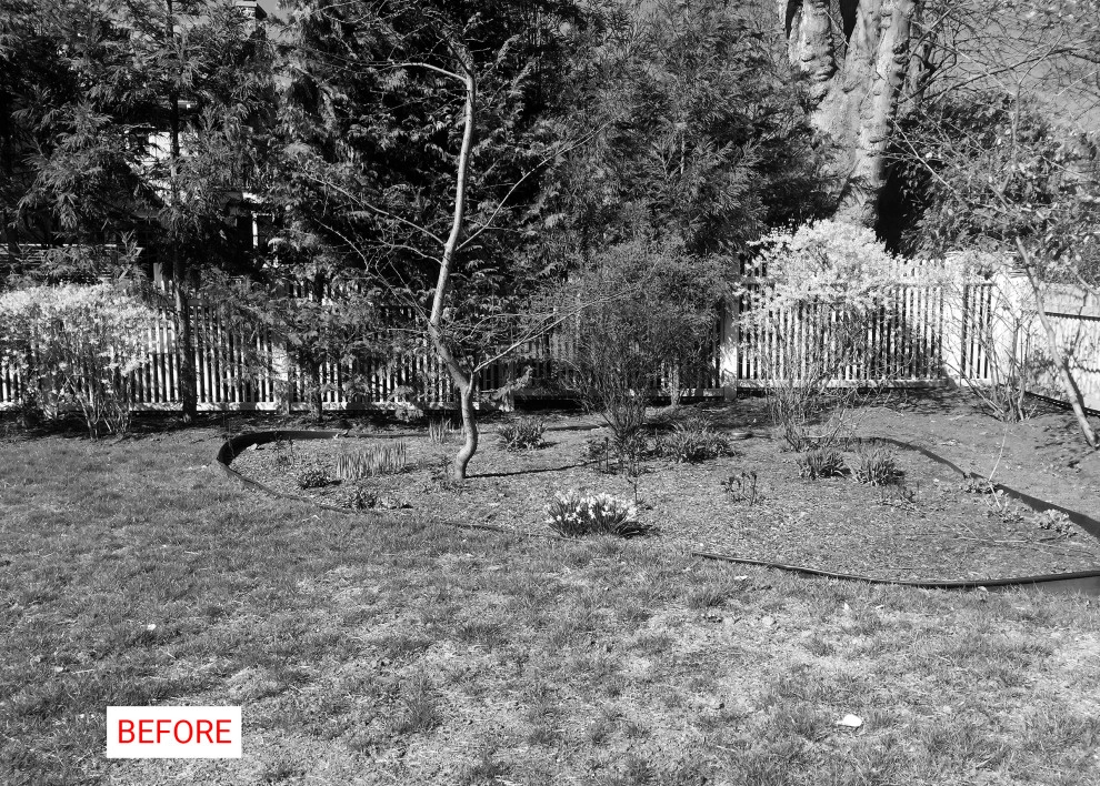 Lush Garden by Winston Fayer Landscape Design - Photo 6