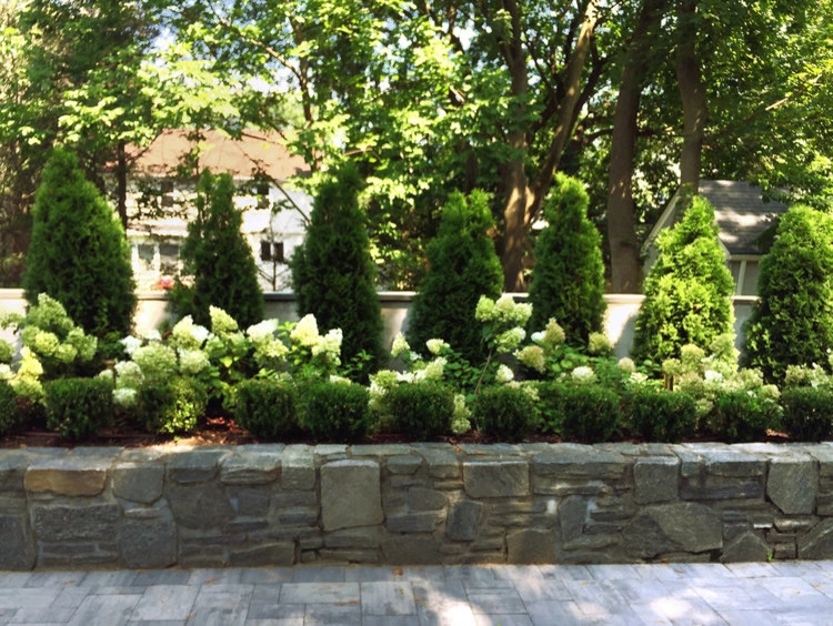 Green and White Garden by Winston Fayer Landscape Design - Photo 4