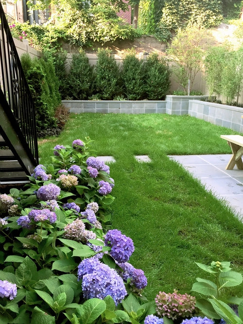 Brooklyn Makeover by Winston Fayer Landscape Design - Photo 2