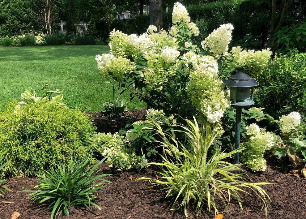 Lush Garden by Winston Fayer Landscape Design - Photo 7