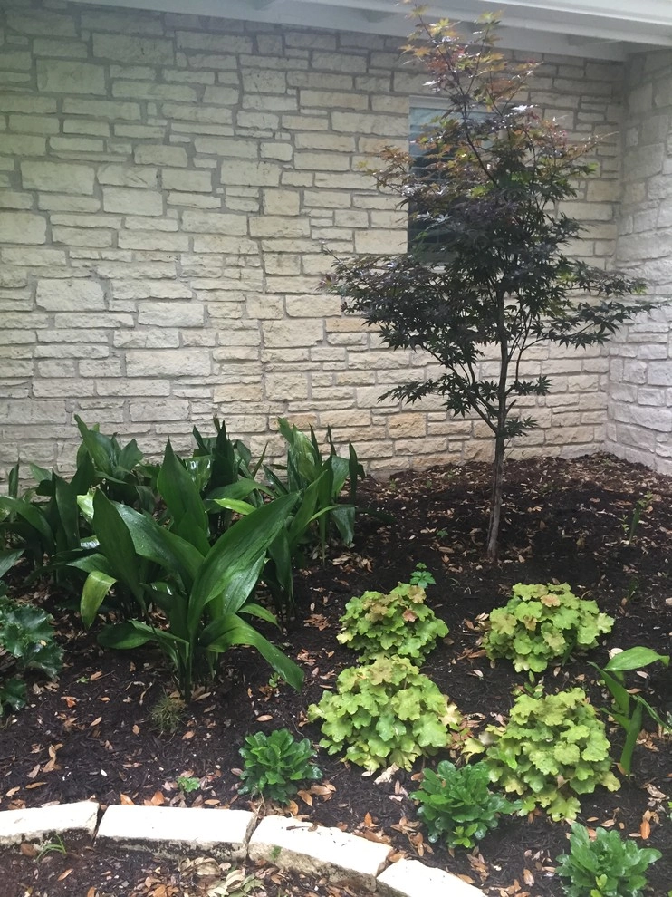Blissful Gardens & Green Dragon Design - Photo 5