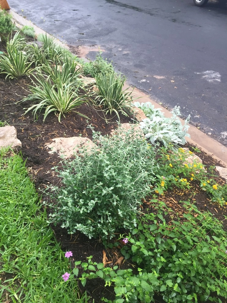 Tarrytown Project by Blissful Gardens & Green Dragon Design - Photo 2
