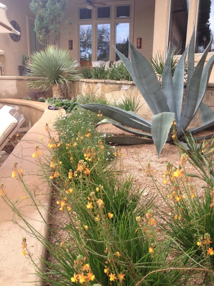 Westlake Poolside Xeriscape Garden by Blissful Gardens & Green Dragon Design - Photo 2