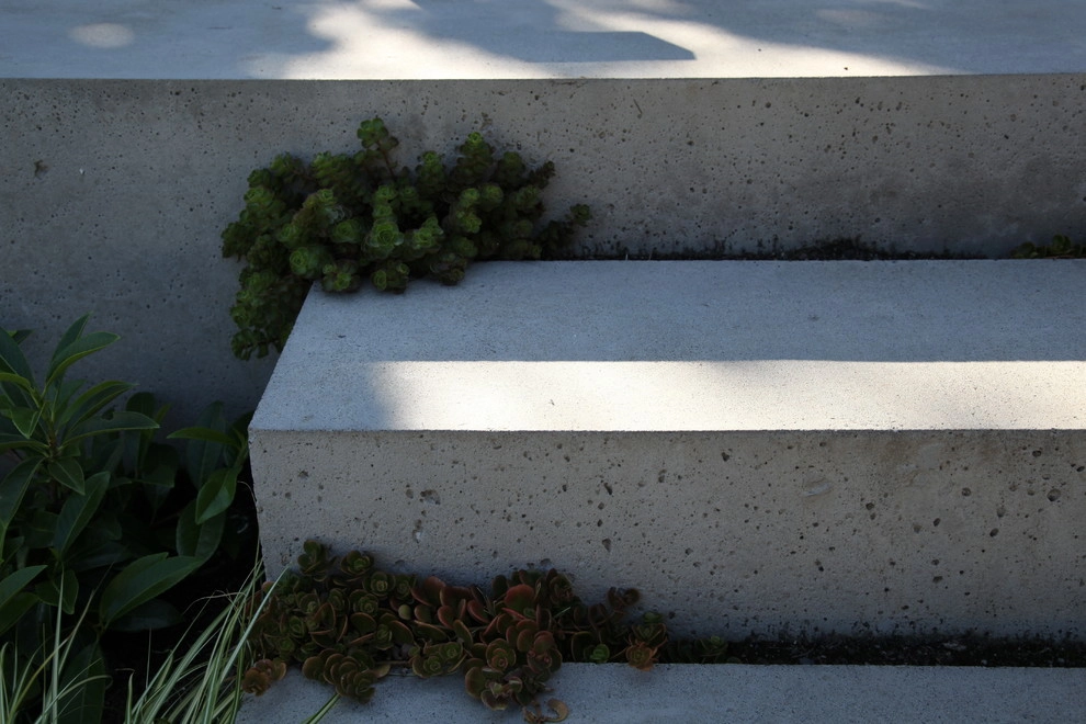 Laurelhurst by Wittman Estes Landscape - Photo 3