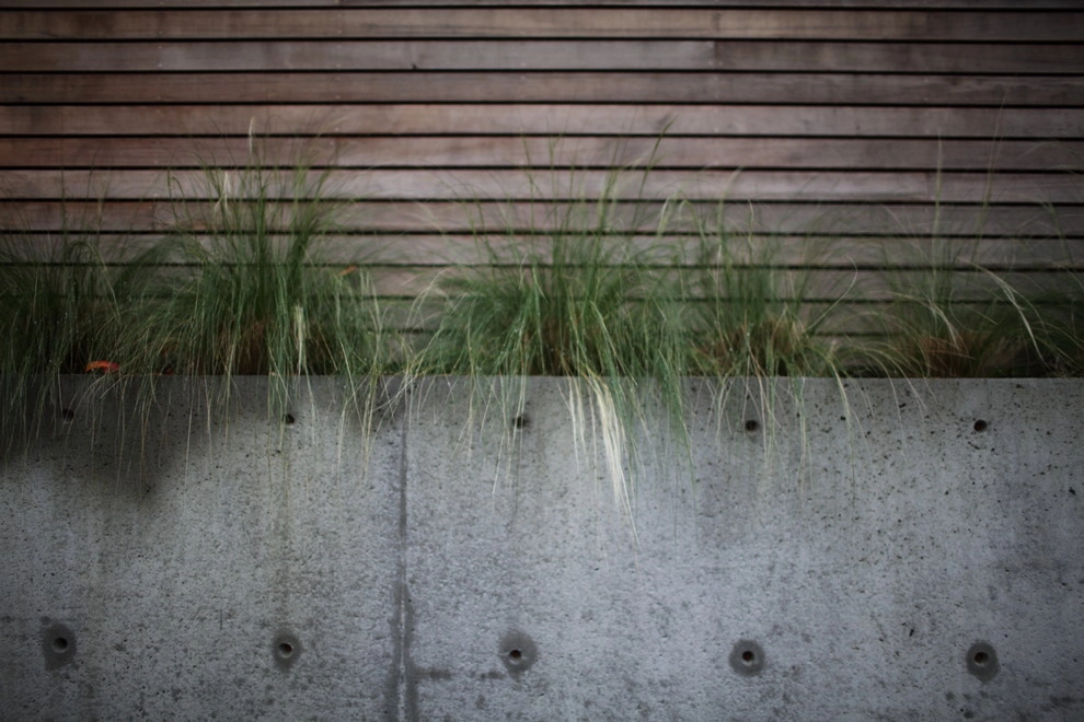 Queen Anne Residence by Wittman Estes Landscape - Photo 7