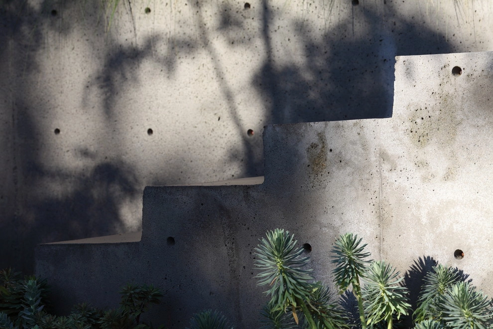 Queen Anne Residence by Wittman Estes Landscape - Photo 14