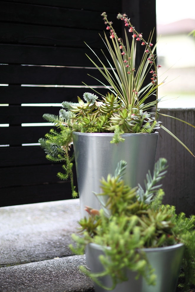 Broadview Garden by Wittman Estes Landscape - Photo 10