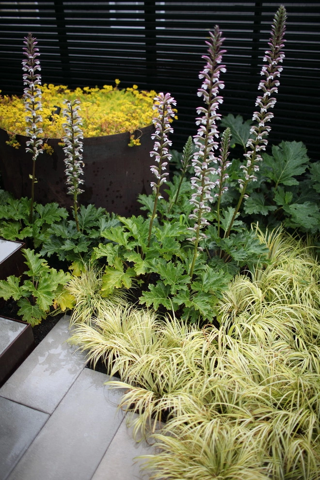 Wittman Estes Landscape - Photo 3