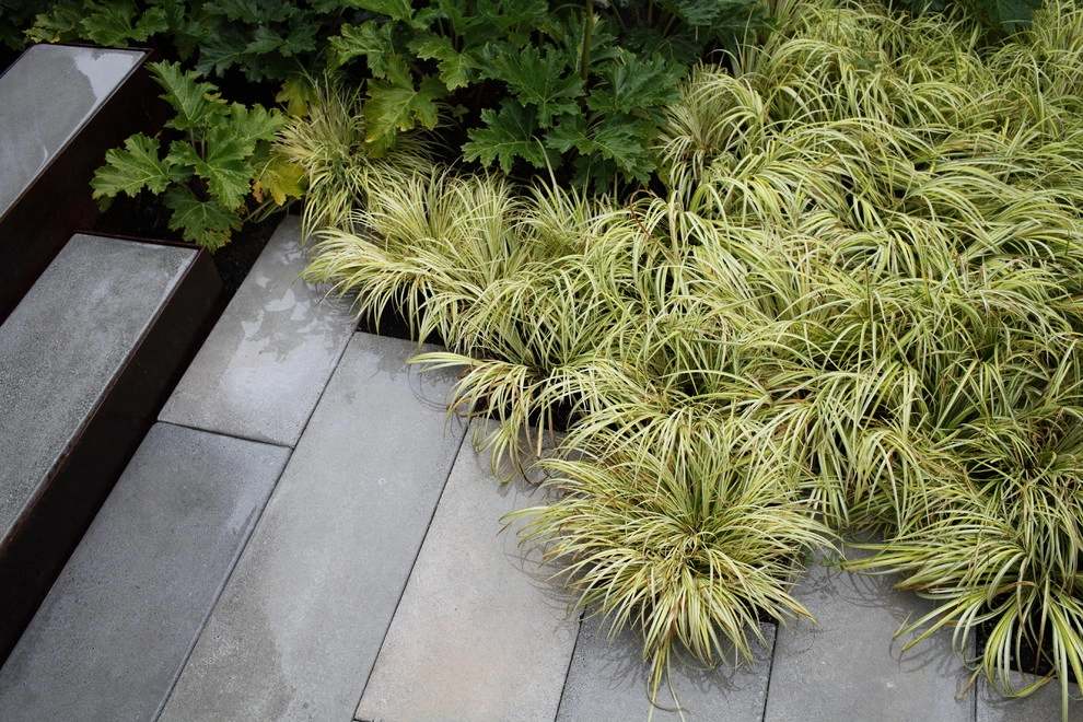 Bainbridge Residence by Wittman Estes Landscape - Photo 9