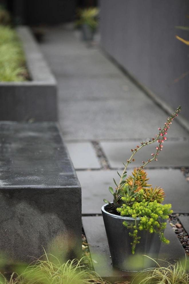 Broadview Garden by Wittman Estes Landscape - Photo 3