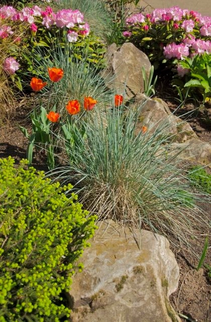 Flowering Perennials/ Ornamental Grass Combinations by Wolfstone Landscape Design - Photo 4