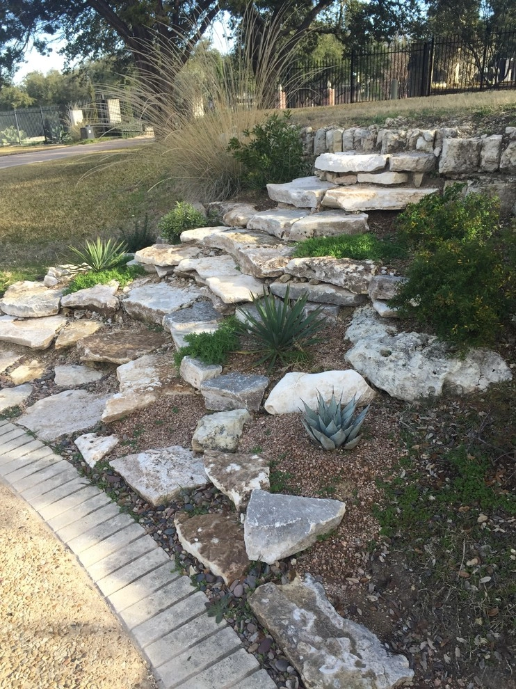 Barton Creek Native & Natural Landscape by Blissful Gardens & Green Dragon Design - Photo 3