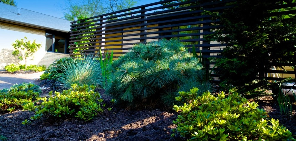 Family Front Yard Renovation by Wolfstone Landscape Design - Photo 3