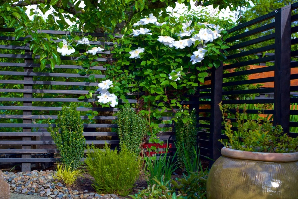Family Front Yard Renovation by Wolfstone Landscape Design - Photo 11