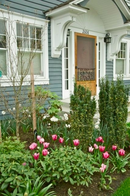 Traditional Landscaping - Irvington by Wolfstone Landscape Design - Photo 3