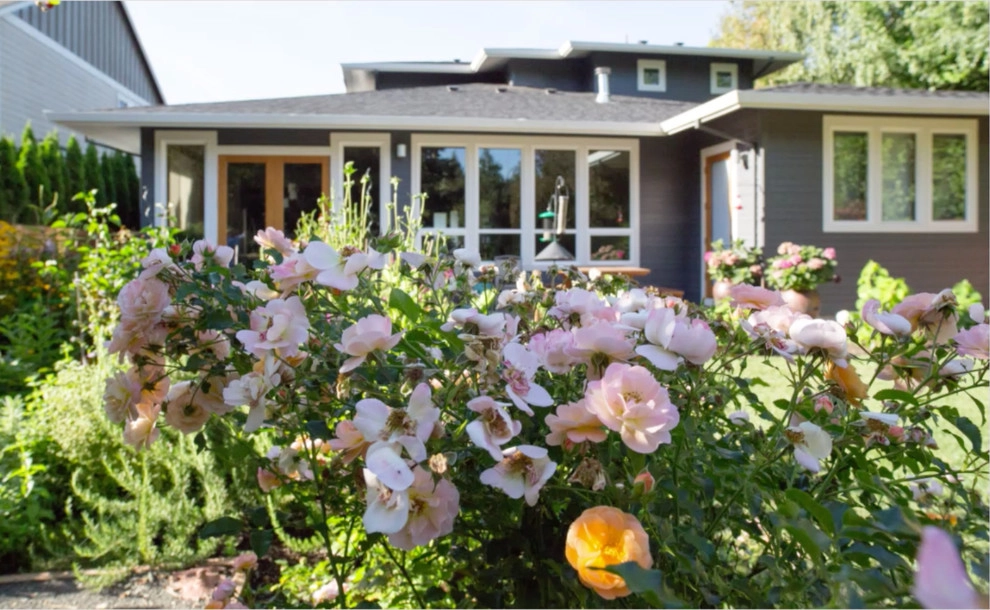 Bridlemile Neighborhood Landscaping by Wolfstone Landscape Design - Photo 5