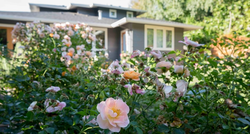 Bridlemile Neighborhood Landscaping by Wolfstone Landscape Design - Photo 20