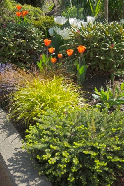 Flowering Perennials/ Ornamental Grass Combinations by Wolfstone Landscape Design - Photo 3