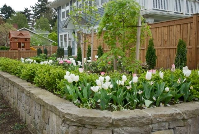 Traditional Landscaping - Irvington by Wolfstone Landscape Design - Photo 6