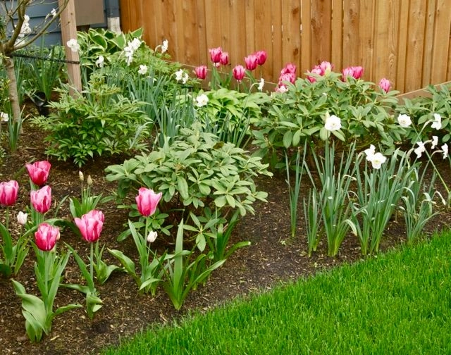 Traditional Landscaping - Irvington by Wolfstone Landscape Design - Photo 2