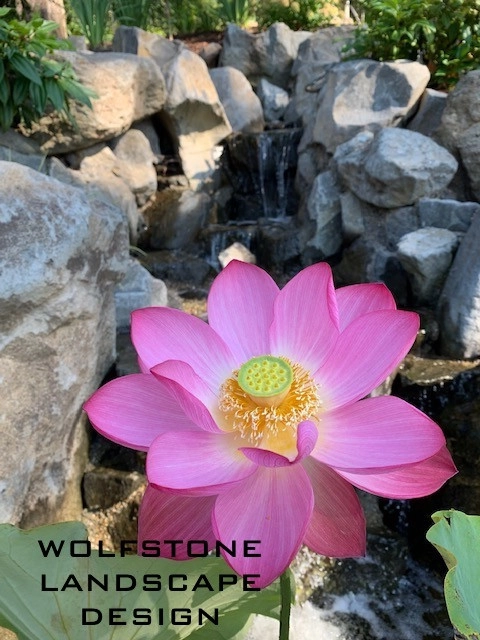 Lakeside Living by Wolfstone Landscape Design - Photo 2