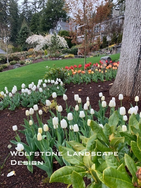 Lakeside Living by Wolfstone Landscape Design - Photo 4