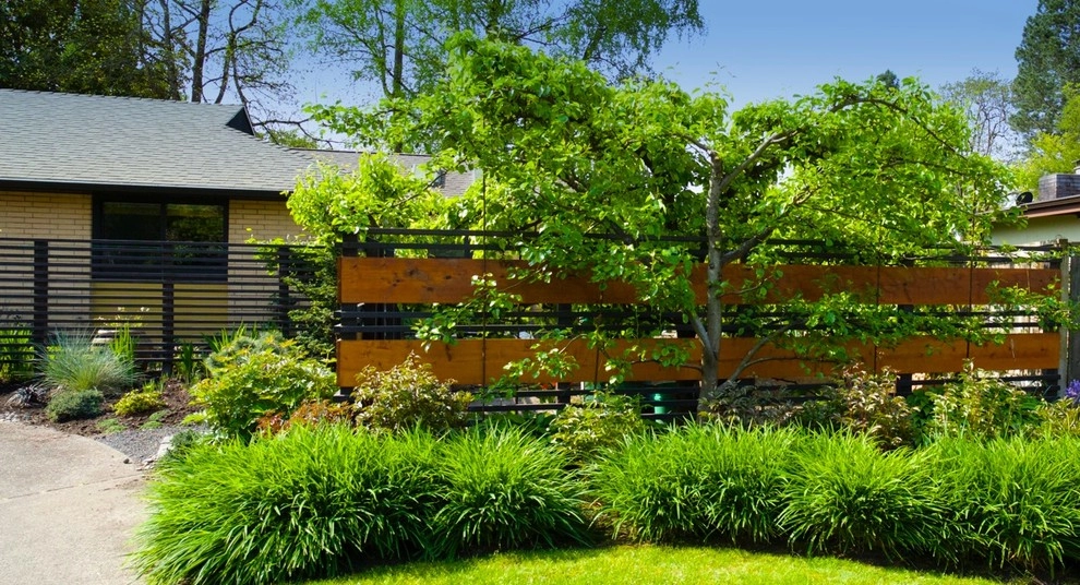 Family Front Yard Renovation by Wolfstone Landscape Design - Photo 15