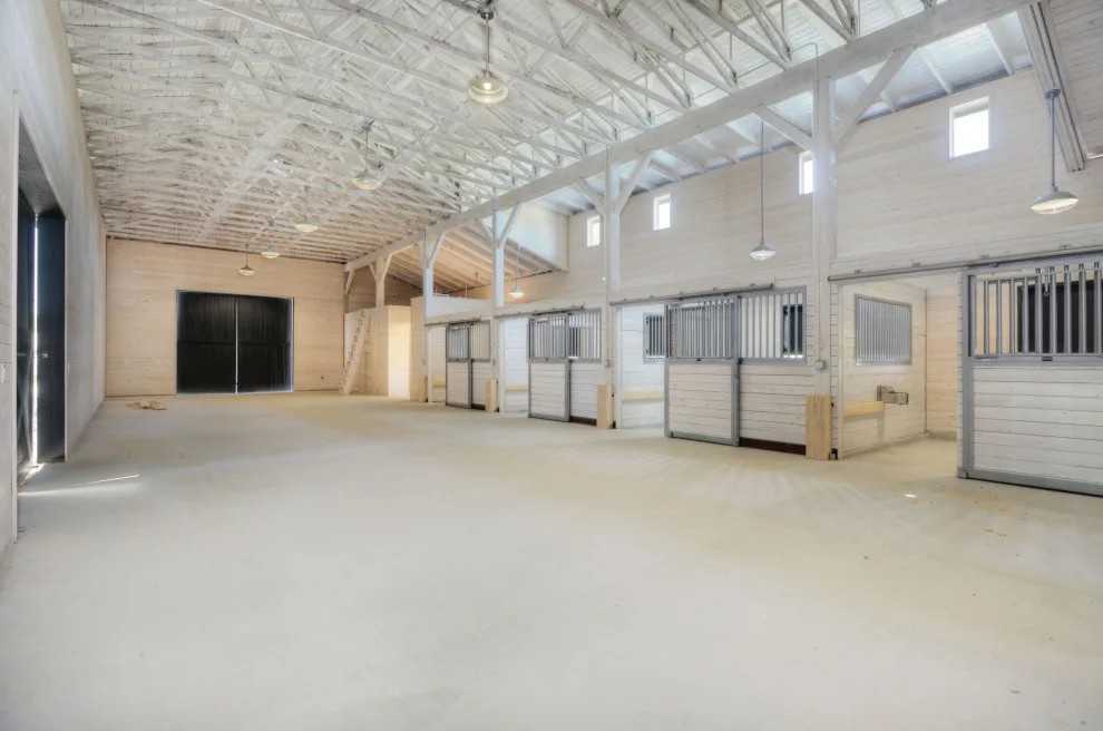 Modern Rescue Shelter by Garner Homes - Photo 9