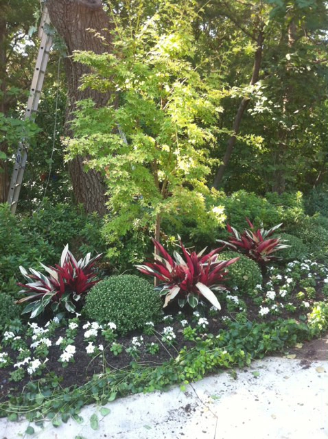 Drive Up Appeal by Brumley Gardens - Photo 5