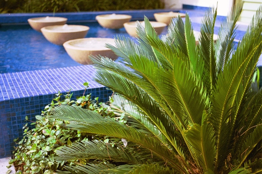 Tranquility in Las Vegas by XL Landscape Development - Photo 10