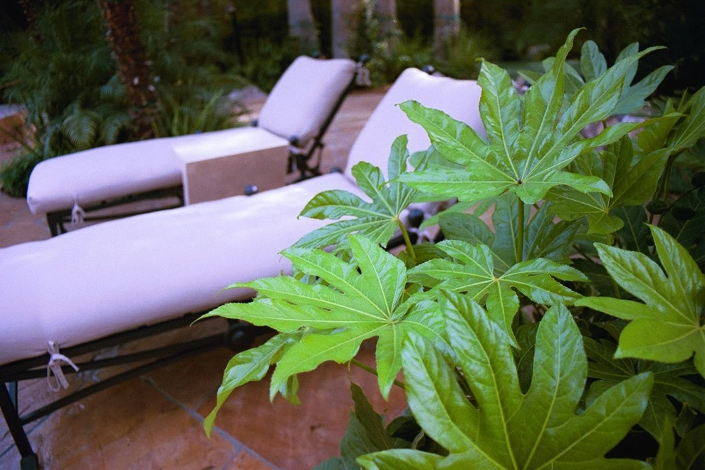 Tranquility in Las Vegas by XL Landscape Development - Photo 4