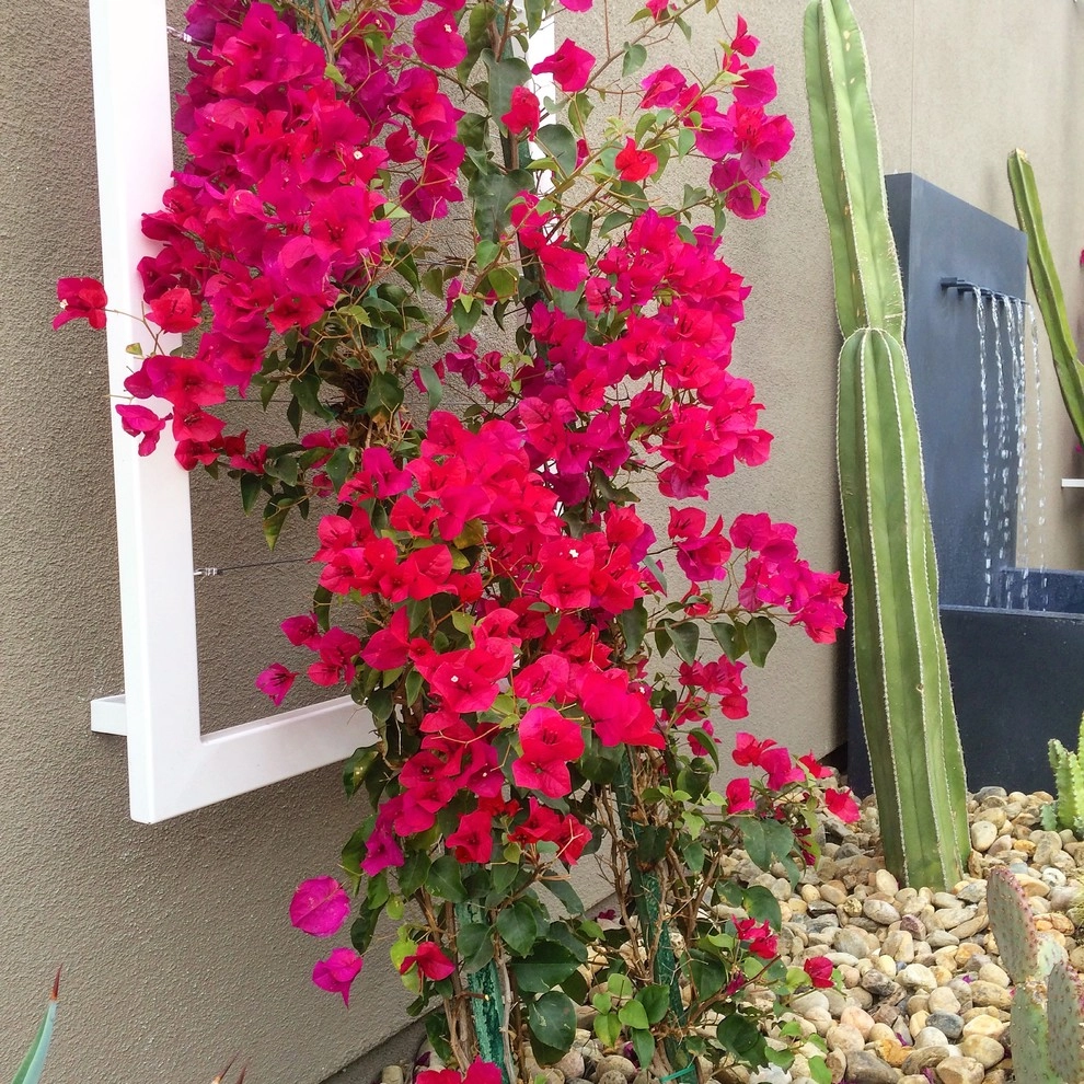 ESCAPE by Yolac & Lloyd Landscape Design - Photo 5