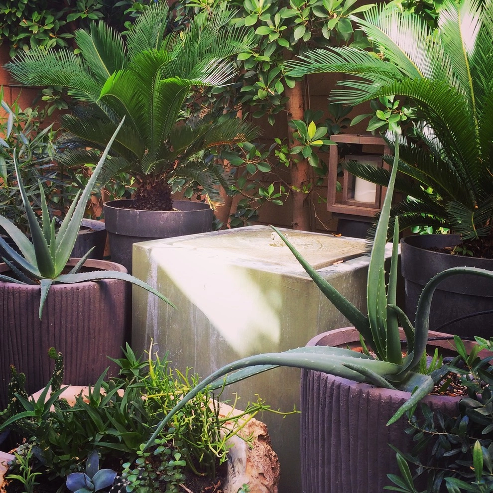TRANQUILITY by Yolac & Lloyd Landscape Design - Photo 3