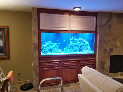 Tailored Integrated Inspiration by Elite Construction Of Jax, Inc. - Photo 26