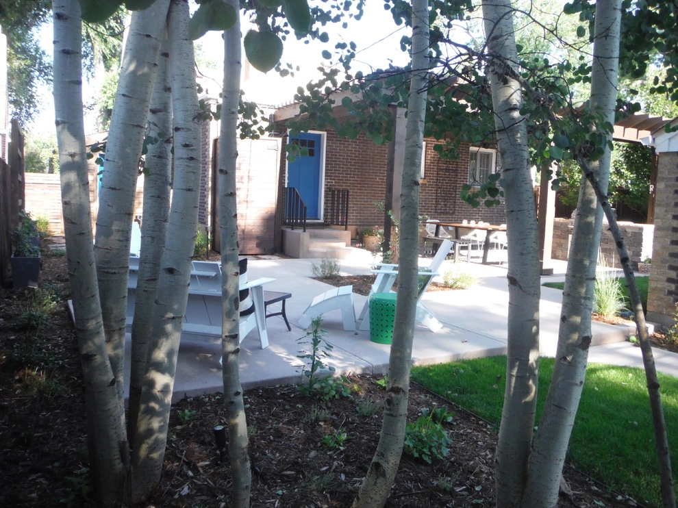 Wash Park #2 by Bloom Concrete & Landscape Design - Photo 3