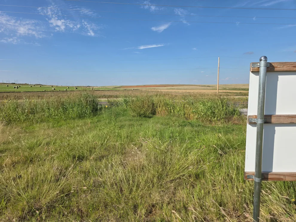 Prairie Custom Home by Momentum Homes - Photo 10