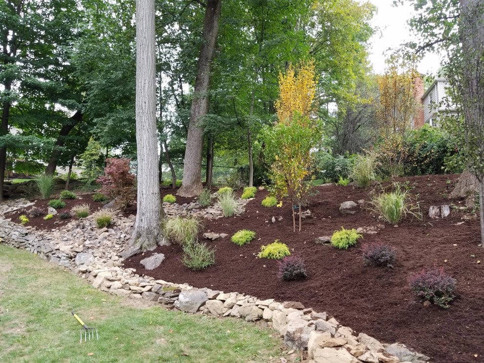 Backyard planting by Z.O. Landscaping - Photo 8