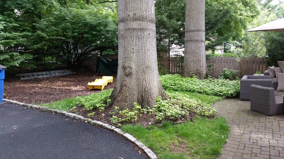 Maplewood outdoor space by Z.O. Landscaping - Photo 2