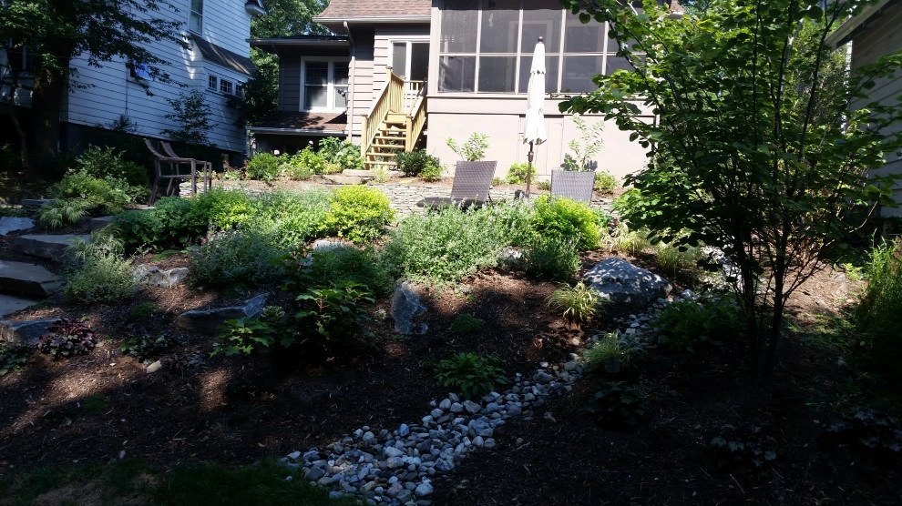 Backyard planting by Z.O. Landscaping - Photo 3