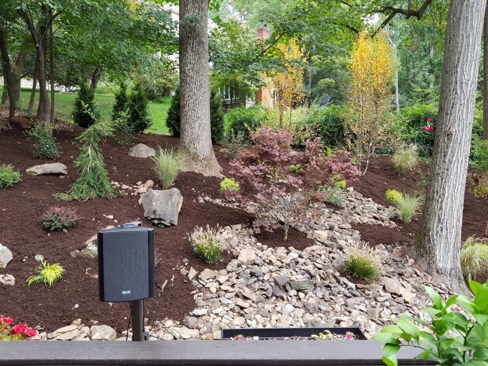 Backyard planting by Z.O. Landscaping - Photo 5