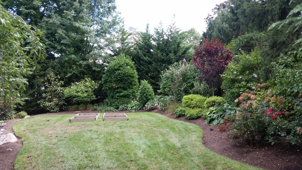 Backyard planting by Z.O. Landscaping - Photo 10