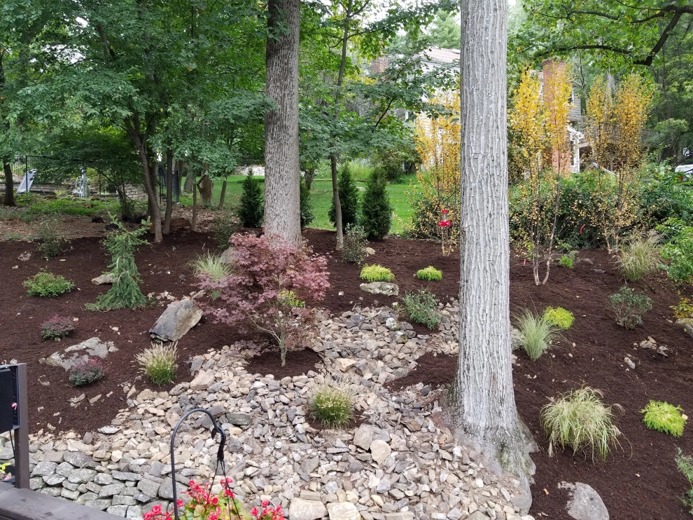 Backyard planting by Z.O. Landscaping - Photo 4