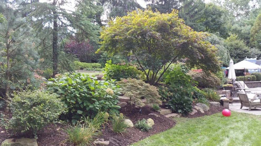 Backyard planting by Z.O. Landscaping - Photo 6